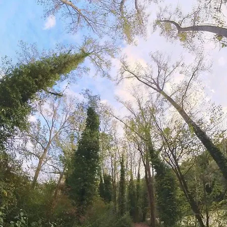 Casa Sul Fiume Con Giardino E Terrazza *