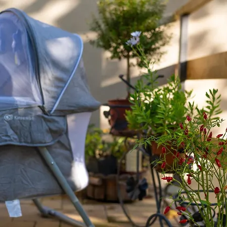 Casa Sul Fiume Con Giardino E Terrazza *