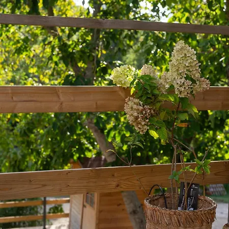 Casa Sul Fiume Con Giardino E Terrazza