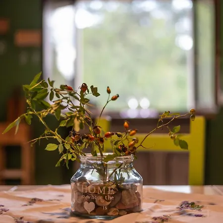 Ferienhaus Casa Sul Fiume Con Giardino E Terrazza