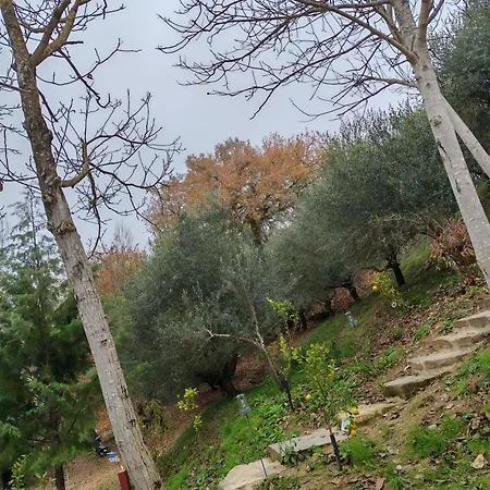 Dom wakacyjny Casa Sul Fiume Con Giardino E Terrazza *