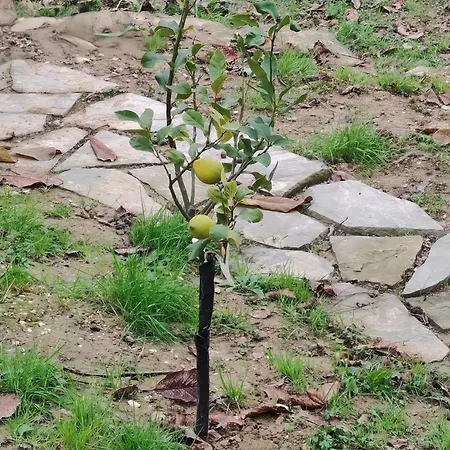 بيت للعطل Casa Sul Fiume Con Giardino E Terrazza Pianello (Umbria)