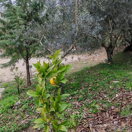 بيت للعطل Casa Sul Fiume Con Giardino E Terrazza *