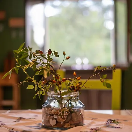 Casa Sul Fiume Con Giardino E Terrazza Feriehus Pianello (Umbria)