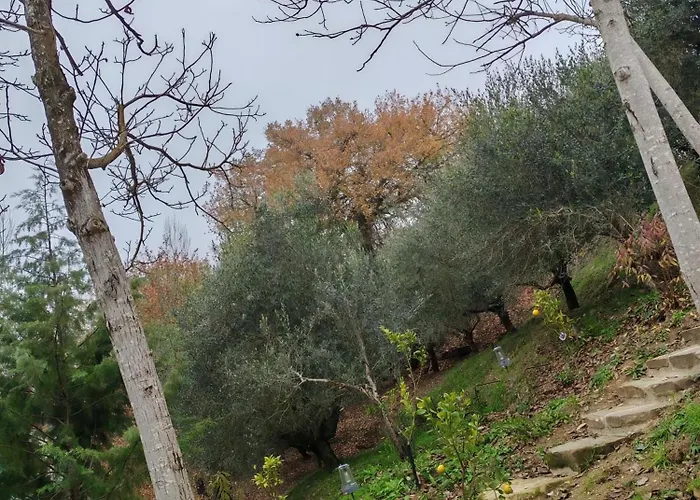 Casa vacanze Casa Sul Fiume Con Giardino E Terrazza *