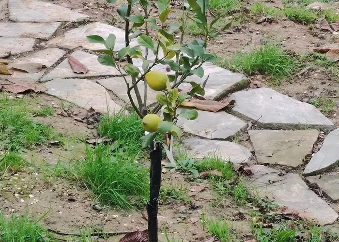Feriehus Casa Sul Fiume Con Giardino E Terrazza Pianello (Umbria)