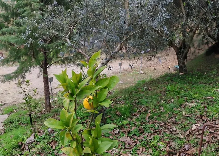 Casa vacanze Casa Sul Fiume Con Giardino E Terrazza *