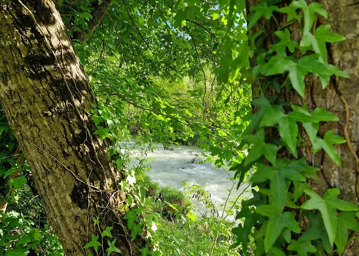 Casa Sul Fiume Con Giardino E Terrazza Casa vacanze