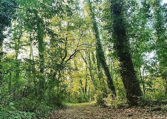Casa Sul Fiume Con Giardino E Terrazza Pianello (Umbria)