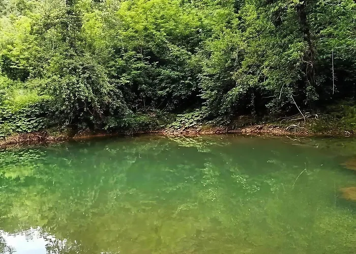 Casa Sul Fiume Con Giardino E Terrazza *